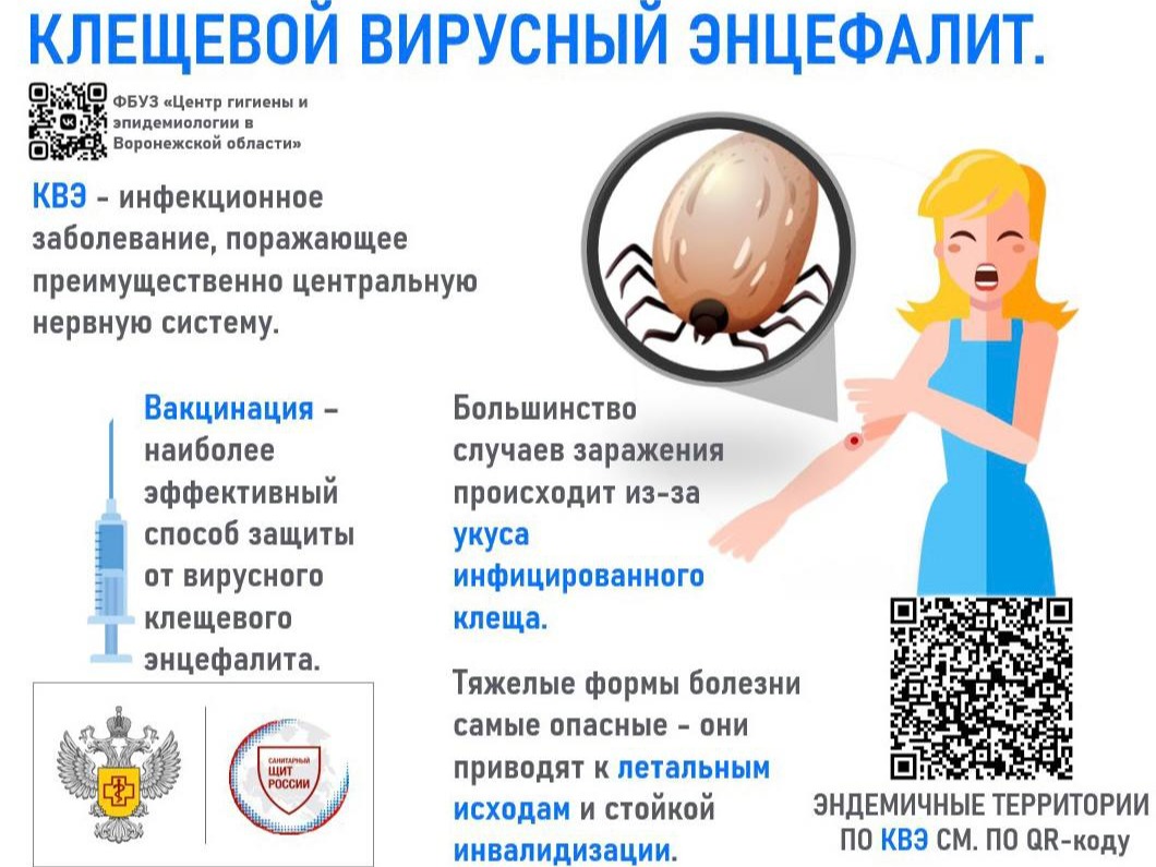 Памятка - Клещи.